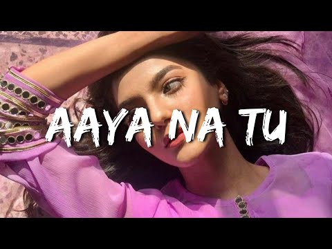 Aaya Na Tu × (Slowed + Reverbed) | Arjun Kanungo , Momina Mustehsan | LOFI music