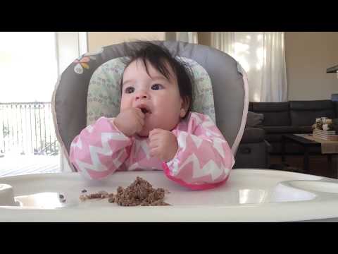 download lagu mp3 mp4 Turkey Mince Baby Led Weaning, download lagu Turkey Mince Baby Led Weaning gratis, unduh video klip Turkey Mince Baby Led Weaning