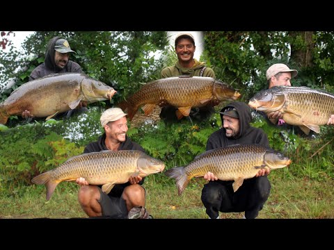 BEST OF CARPE DIVISION 2021