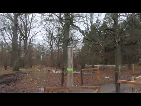 Walking in Kronskogen, Eskilstuna Sweden 2024!