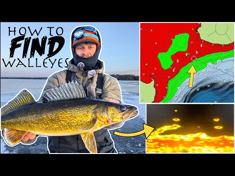 SIMPLE Way to Find a TON of Walleyes ICE FISHING!