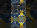 Highlights Australia Vs AfghanistanICC World Cup 2023 Highlights AUS VsAFGHighlights Shorts Viral