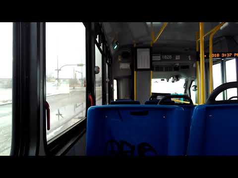 Calgary Transit bus 1826 (2013 Arboc SOF)