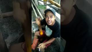 Download lagu virallin pengakuan pegawe ini sangatlah memprihatinkan mp3 Download lagu virallin pengakuan pegawe ini sangatlah memprihatinkan mp3