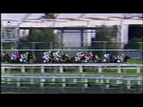 1992 Rosehill Guineas - Naturalism vs Veandercross