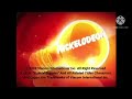 Wildbrain Nickelodeon 2010