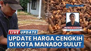 Cengkih di Manado Alami Kenaikan Harga Jelang Ramadhan, Kini Dibanderol di Angka Rp118 Per Kilogram