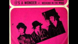 The Sharons It's a Wonder