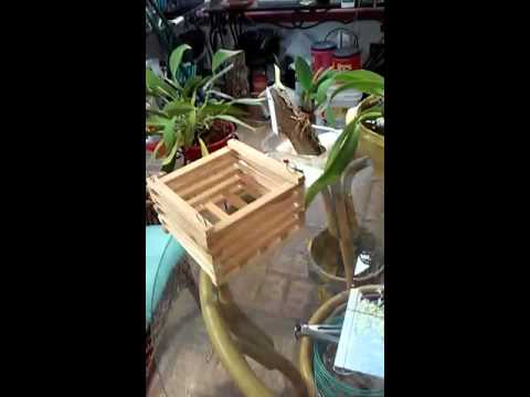 4/7/16 Baskets for my orchids