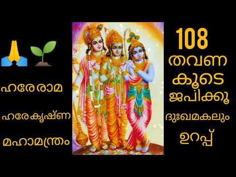 🙏🌱 ഹരേ രാമ ഹരേ രാമ🙏 രാമ രാമ ഹരേ ഹരേ🙏🌱 ഹരേ കൃഷ്ണ ഹരേകൃഷ്ണ🙏 കൃഷ്ണ കൃഷ്ണ ഹരേ ഹരേ🙏🎶 Hare Krishna..