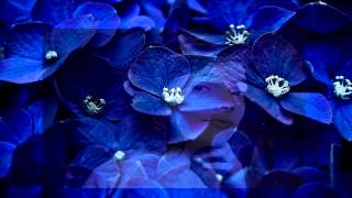 Nanci Griffith - Bluer Than Blue