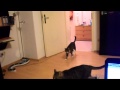 Meine Katze apportiert... 