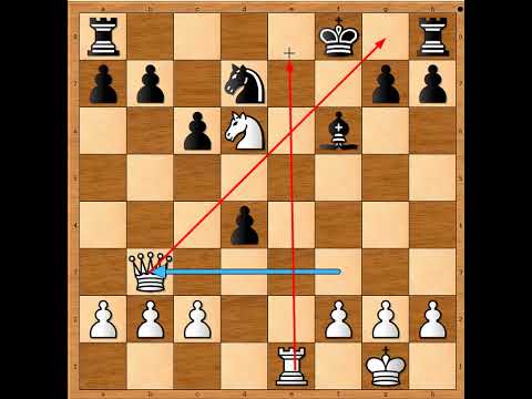 Lakoća sa kojom je veliki Talj izlazio na kraj sa svojim protivnicima 😊🥊🥊🥊💥 TAL vs BRODERMAN #3240