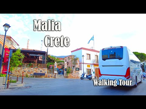 Exploring the Charm of Malia in Crete Through an Evening Walk | City Driver Tours