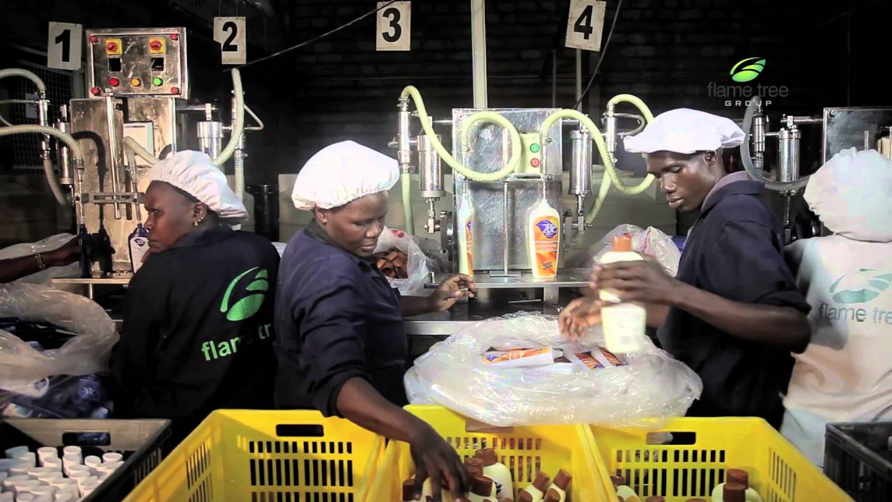 Flame Tree Group Documentary