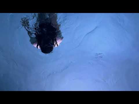 Bisquit - Best of - Prawda [Official Audio]