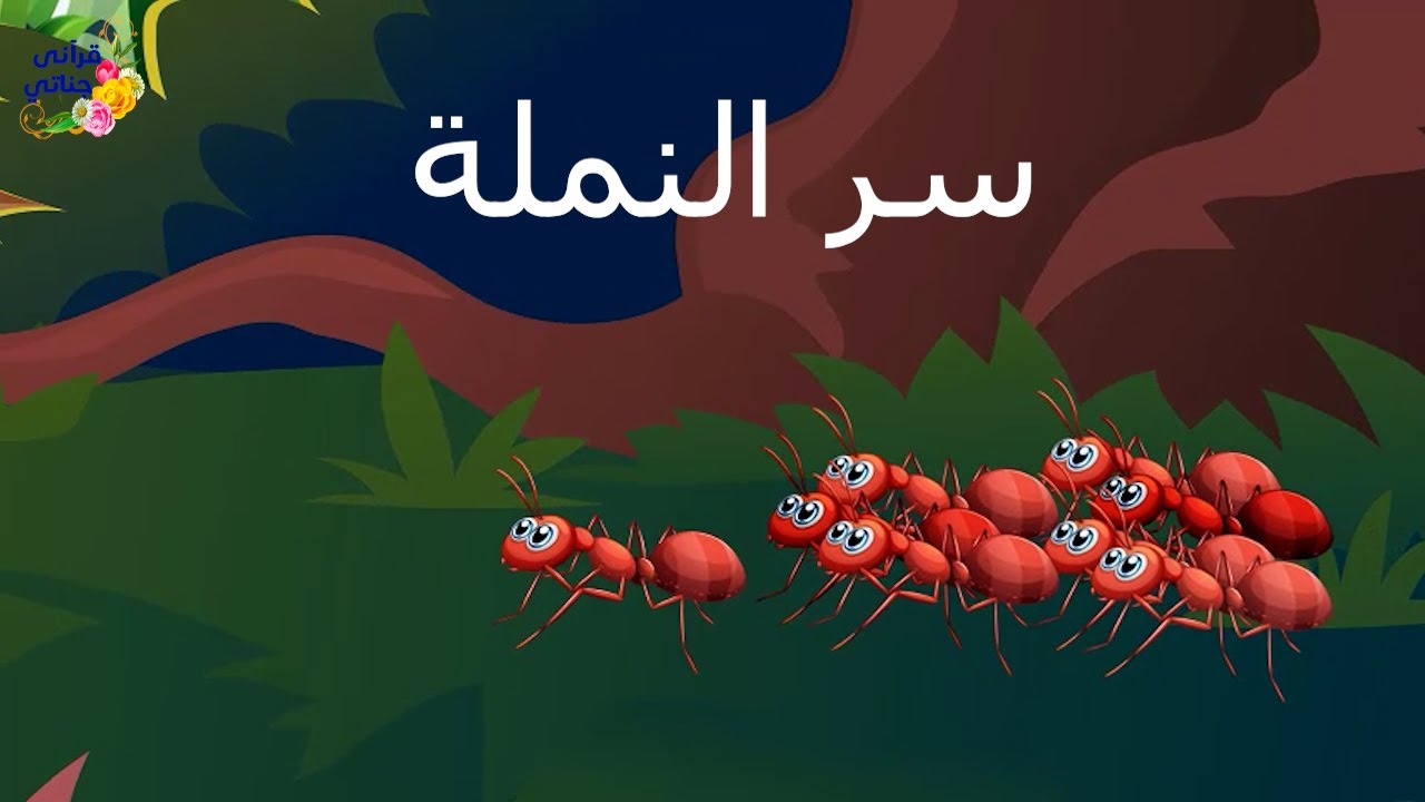 قصة عجيبة هذه النملة كان لها سر ولما أخبرت به من معها من النمل لم يصدقها أحد وكانت المفاجأة