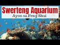 Best Place For Aquarium At Home
