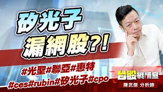 矽光子漏網股?!#光聖#聯亞#惠特#ces#rubin#矽光子#cpo｜小武哥投資事務所｜陳武傑 (圖)
