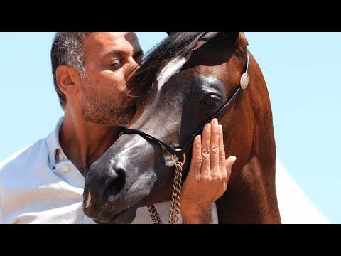 D GHAMRAH - Yearling Fillies A Class Winner, MENTON 2023