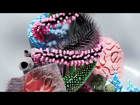 OBCDN - Perpetual [GARS002]