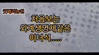 이것의 이름이 무엇인가요? 아시는분 제보 바랍니다