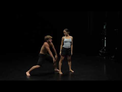 Audition ndt2 luca schietgat 