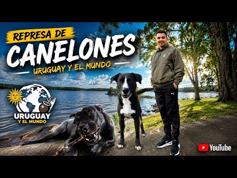 🌿 La Represa de Canelones | Un rincón de Uruguay que tenés que conocer 🇺🇾