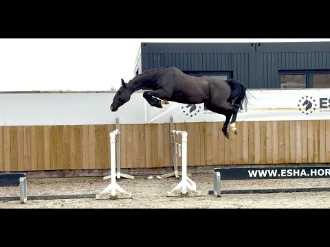 Cyrano du Jaco Z CONNOR x NONSTOP - Video 11 video thumbnail