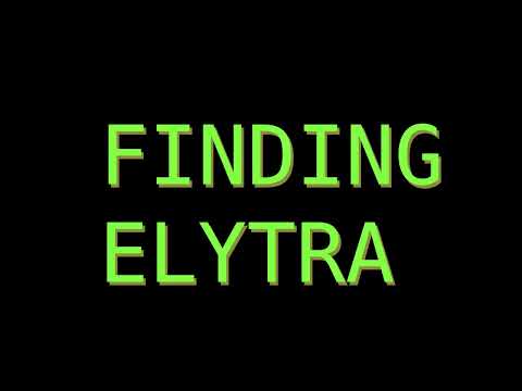 Unbelievable Elytra Discovery with Pettanium Founder