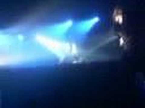 lousie gallerie, david vendetta