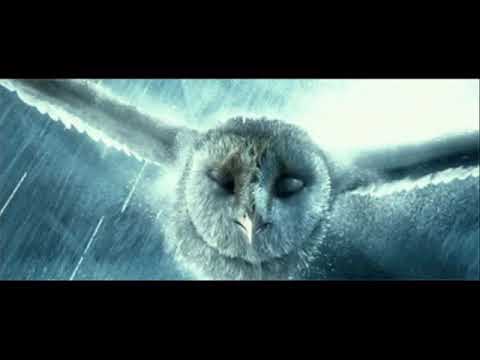 ბუ & გიორგი გოგოლაური - წვიმა / giorgi gogolauri & bu - wvima