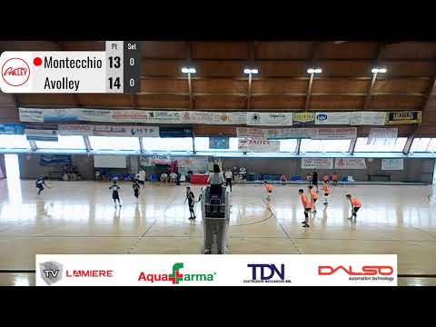 Montecchio - Avolley