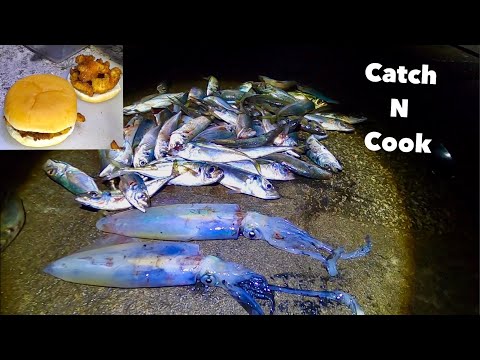 Big SQUID & Horse Mackerel - Catch Clean Cook , Delicious Trash Fish