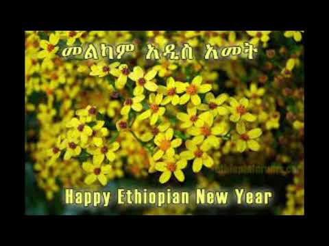Dawit  Tsige AMAN YIHUNአማን ይሁን