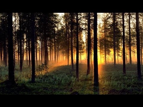 Merit Hemmingson -.Jämtlänsk Folkvisa - (  Swedish Folksong from Jämtland )