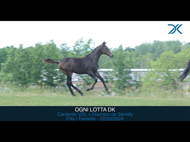 Ogni Lotta DK