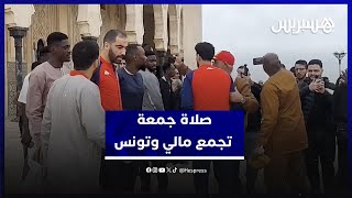 قبل معركة الكان.. المنتخبان المالي والتونسي يؤدّيان صلاة الجمعة في مسجد الحسن الثاني thumbnail