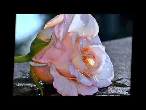 AUREL JAUPI LIVE NE DASEM KOLAZH BABA TOMORI