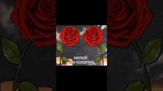 Download lagu Siddarth - Nalla Paatu ft. Rabbit Mac... WhatsApp status song mp3 Download lagu Siddarth - Nalla Paatu ft. Rabbit Mac... WhatsApp status song mp3