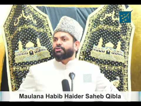 Maulana Habib Haider - "Shia respect Sahabi (r.a)"
