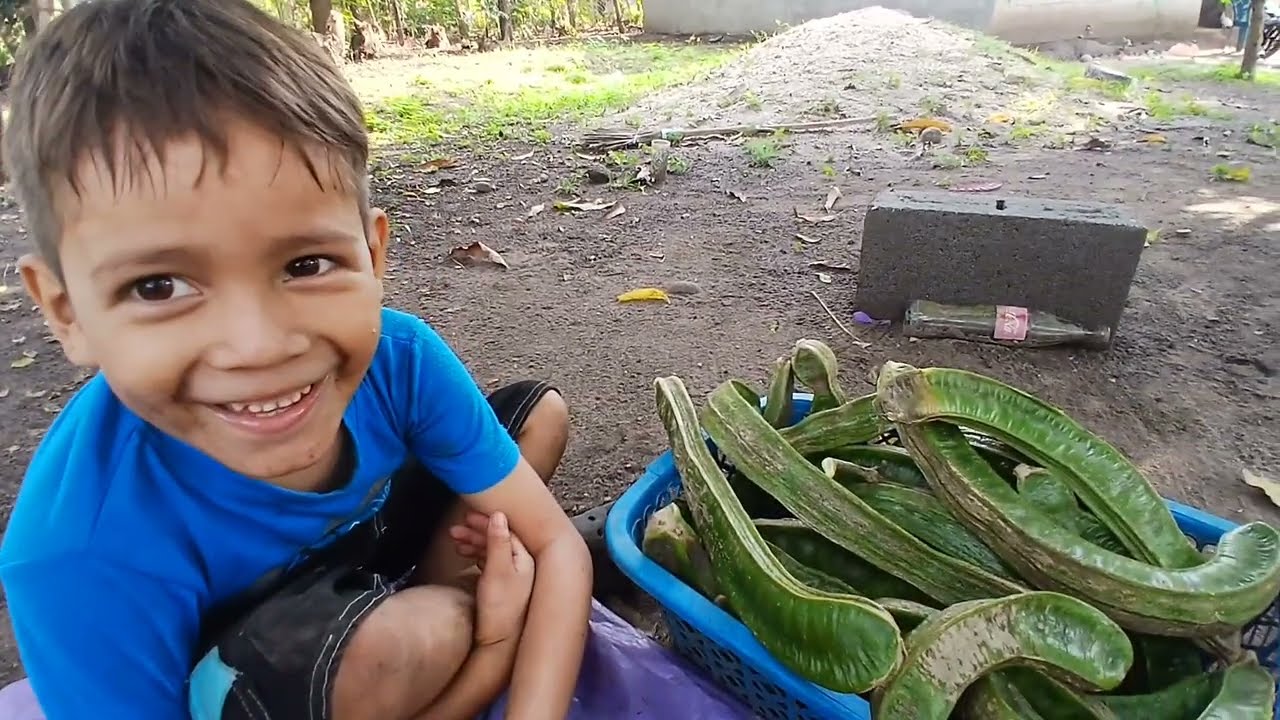 Venderemos esto😭 nuestra primera cosecha 🙏