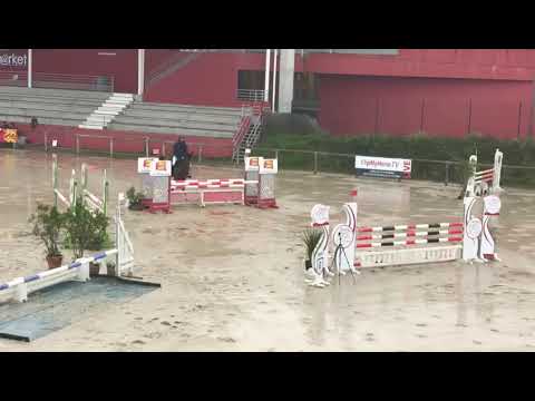 Petrus de Brandegem * GFE - 5 ans - St Lô 2020