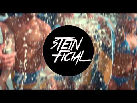 Faydee - Can't Let Go (STEINFICIAL REMIX)