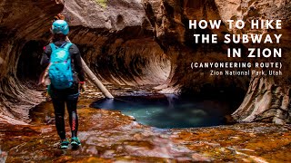 How to Hike the Subway in Zion, Top-Down (Canyoneering Route)