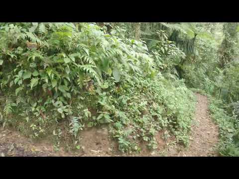 El Pianista, the path after the Mirador - Part 2