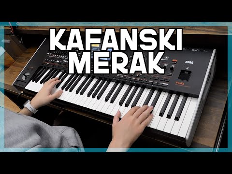 Kafanski MERAK - Begin Harmonike - KORG Pa4x!