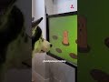 Գլխավոր 7 Video thumbnail