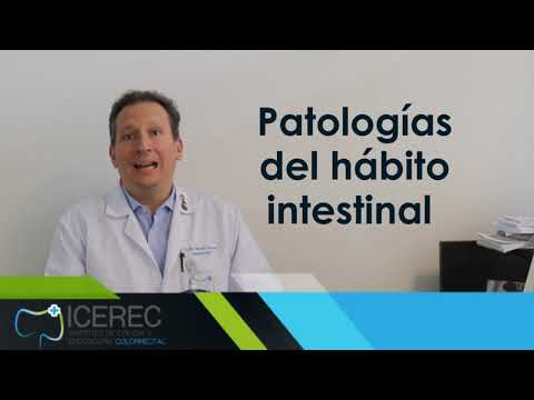 Qué es Coloproctología : Definición y funciones