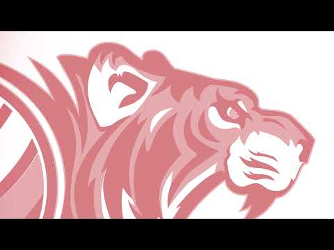 Promoball Sanitars Gussago VS Volley Davis